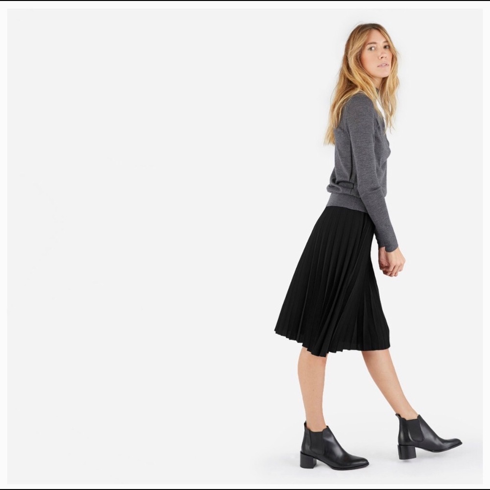 Everlane Pleated Skirt - Size 00